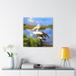 Mystic Marsh Pelican - Canvas
