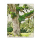 Rural Splendor Moss - Canvas