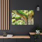 Vibrant Oak Harmony - Canvas