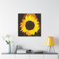 Divine Sun Petal. - Canvas