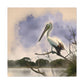 "Aquatic Pelican Dream" - Canvas
