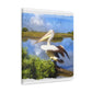 Mystic Marsh Pelican - Canvas