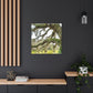 Live Oak Dreaming. - Canvas