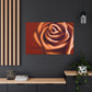Rose Petal Bliss - Canvas
