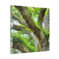 Vibrant Forest Dream. - Canvas