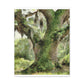 Mystic Moss Tree. - Canvas