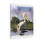 Marshy Pelican Dream - Canvas
