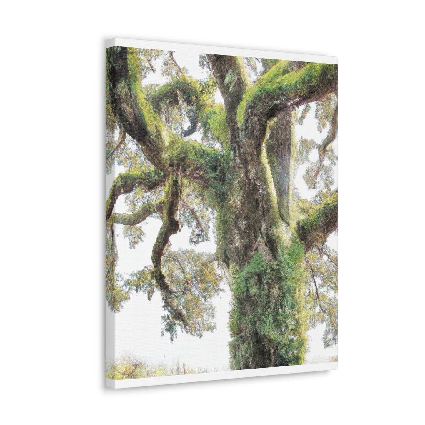 Mossy Oak Wonder. - Canvas