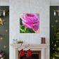 Rose Reflection Dream. - Canvas