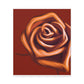 Rose Petal Bliss - Canvas