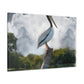 Marshy Pelican Sky. - Canvas