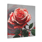 Red Rose Splendor - Canvas