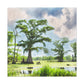 Lagniappe Louisiana Landscape - Canvas