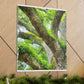 Vibrant Forest Dream. - Canvas