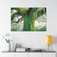 Magnificent Oak Mélange - Canvas