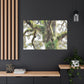 Mossy Oak Wonder. - Canvas