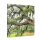 Faded Grandeur Oak. - Canvas
