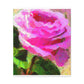 Rose Reflection Dream. - Canvas