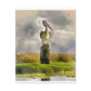 Marshy Pelican Vista - Canvas