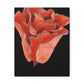 Abstract Blush Bloom - Canvas