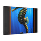 Ocean Seahorse Glint - Canvas