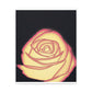 Abstract Rose Bloom. - Canvas