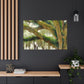 Nature's Embrace. - Canvas