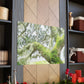 Mossy Oak Dreaming - Canvas