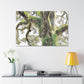 Mossy Oak Wonder. - Canvas
