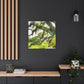 Windy Moss Lullaby - Canvas