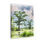 Lagniappe Louisiana Landscape - Canvas