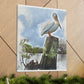 Aquatic Pelican Sunset - Canvas