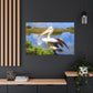 Mystic Marsh Pelican - Canvas