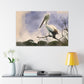 "Aquatic Pelican Dream" - Canvas