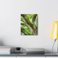 Vibrant Forest Dream. - Canvas