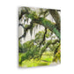 Windy Moss Lullaby - Canvas