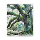 Mossy Oak Dreamscape. - Canvas