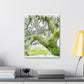 Mossy Oak Dreaming - Canvas