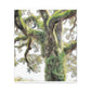 Mossy Oak Wonder. - Canvas