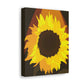 Divine Sun Petal. - Canvas