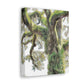 Mossy Oak Wonder. - Canvas