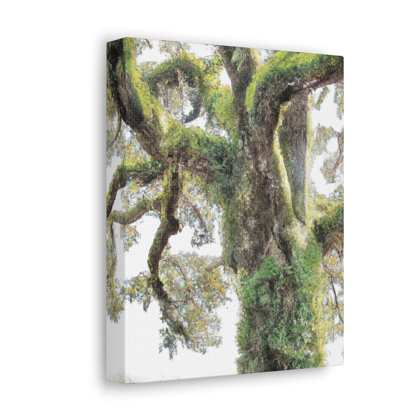Mossy Oak Wonder. - Canvas