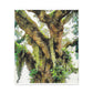Vivid Woodland Scene - Canvas