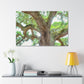 Vast Nature Bliss. - Canvas