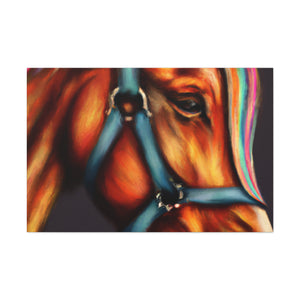 Rainbow Equine. - Canvas