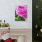 Rose Reflection Dream. - Canvas