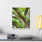 Vibrant Forest Dream. - Canvas