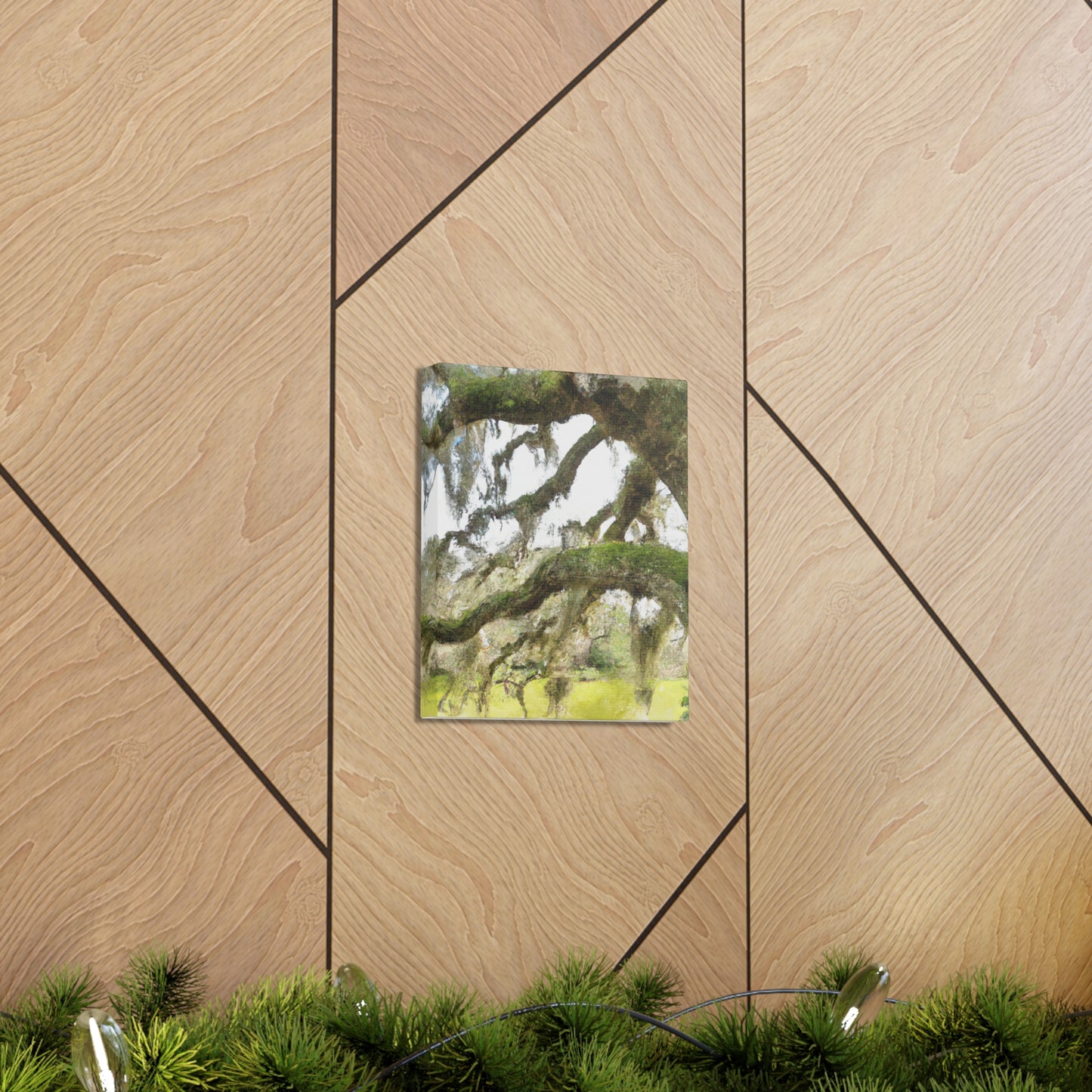 Live Oak Dreaming. - Canvas