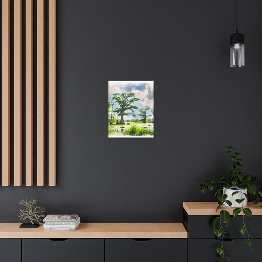 Lagniappe Louisiana Landscape - Canvas