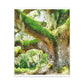 Vibrant Oak Harmony - Canvas